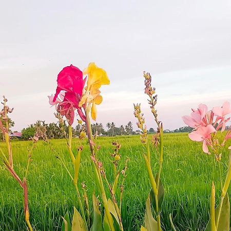 Kurau Inn Farmstay Kuala Kurau Экстерьер фото