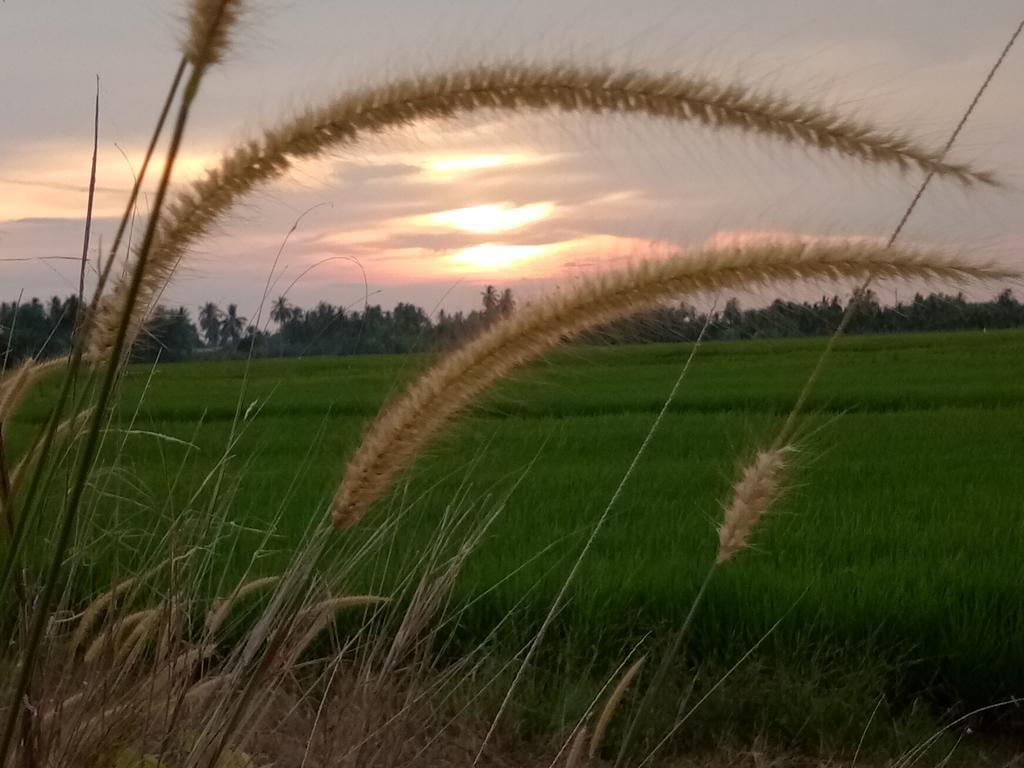 Kurau Inn Farmstay Kuala Kurau Экстерьер фото