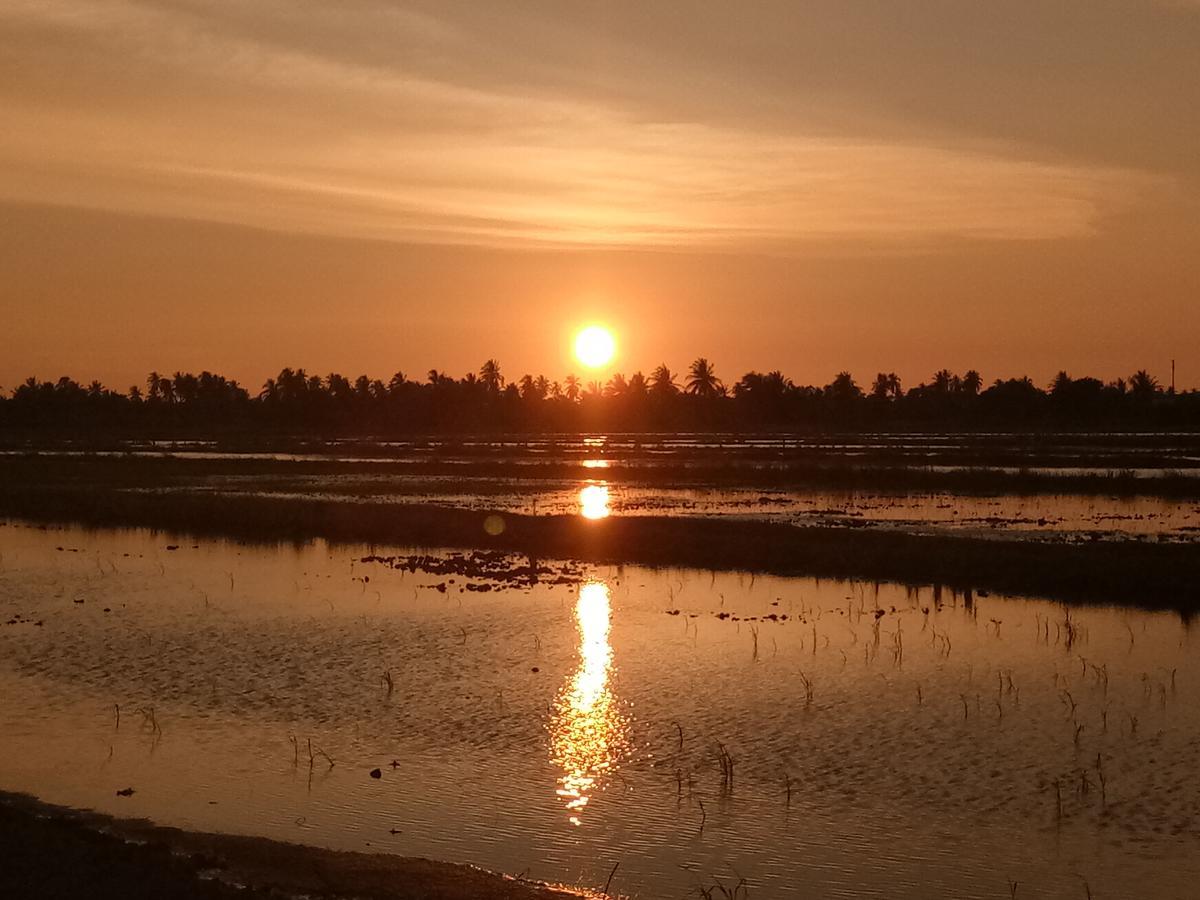 Kurau Inn Farmstay Kuala Kurau Экстерьер фото